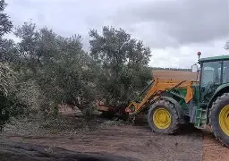 Busco tractorista