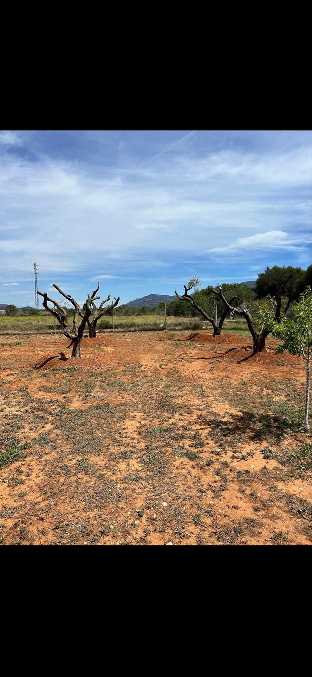 Terreno - Finca rústica
