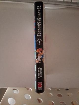 Demon Slayer manga(s)