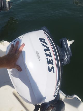 Motor fueraborda Selva 25cv 2° marca de yamaha