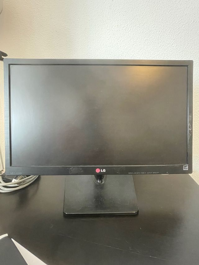 Monitor LG 22EN33S - Negro