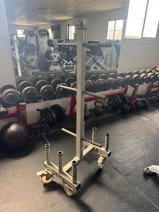 Soporte discos gimnasio - Carro