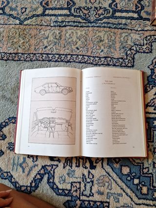 Corso Inglese Vintage: 2 libri + 35 vinili