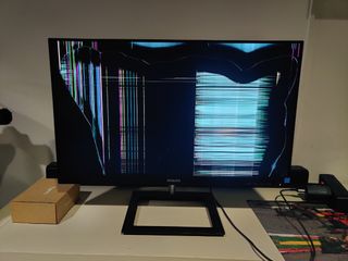 Monitor Philips 242E1GAJ/00 - For Parts