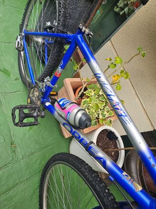 Bicicleta Orbea Alma montaña