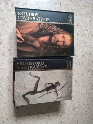 Historia universal del arte, 16 tomos.