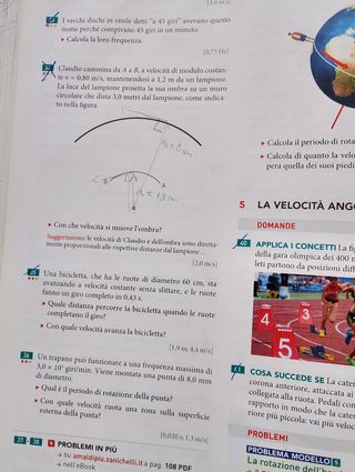 Dalla Mela Di Newton Al Bosone Di Higgs. La Fis...