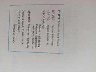 UN CLÁSICO!!! El Quijote, sólo