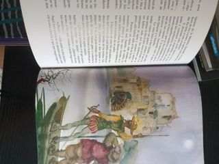 UN CLÁSICO!!! El Quijote, sólo