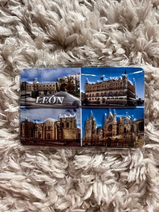 Imanes León: 4 imanes nevera