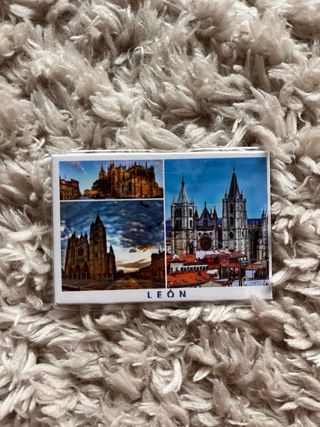 Imanes León: 4 imanes nevera