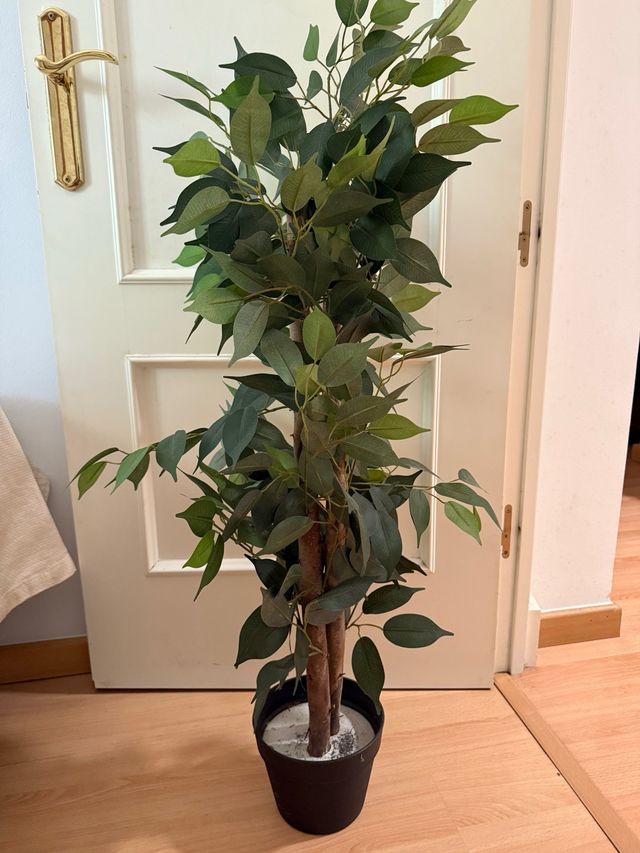 Plantas artificiales marca Blaine