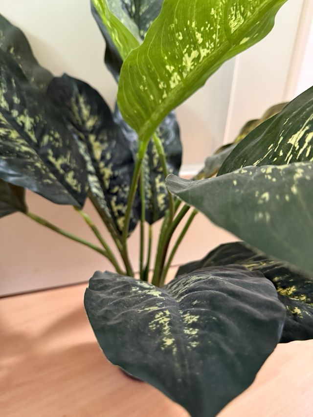 Plantas artificiales marca Blaine