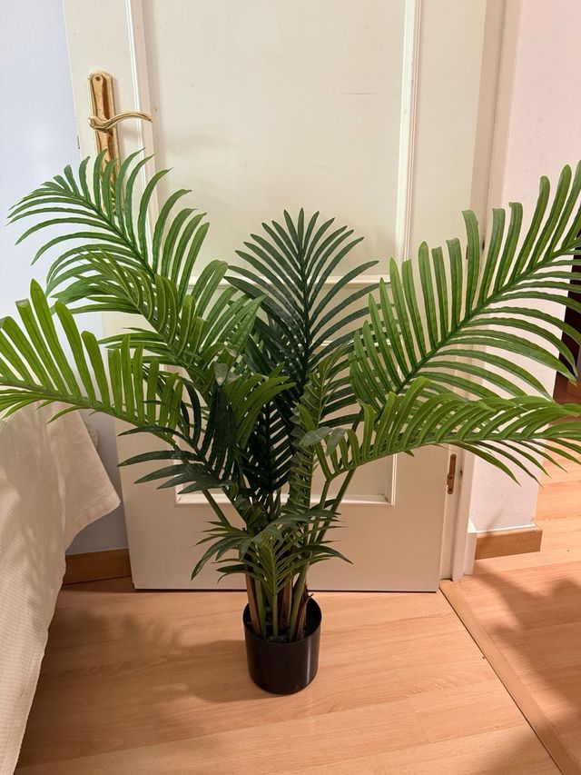 Plantas artificiales marca Blaine