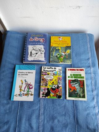Lote libros juvenil 