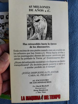 Lote libros juvenil 