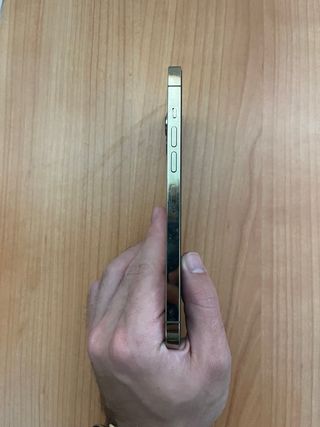 iPhone 13 Pro Max Gold 128GB