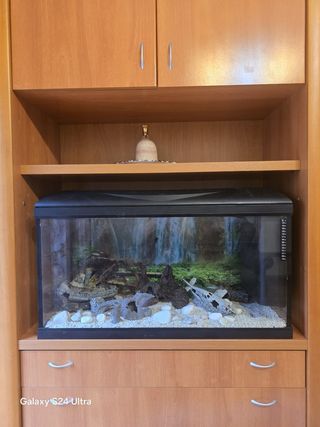 Acuario 100Lts - Decorado