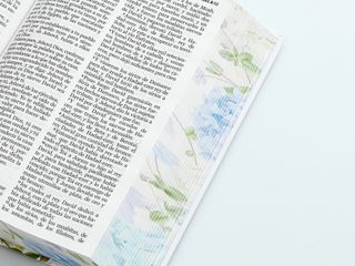 Biblia RVR 1960 Letra grande