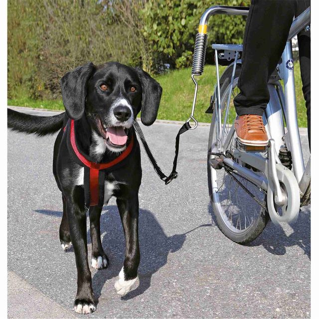 Paseador perro bici - Soporte manillar