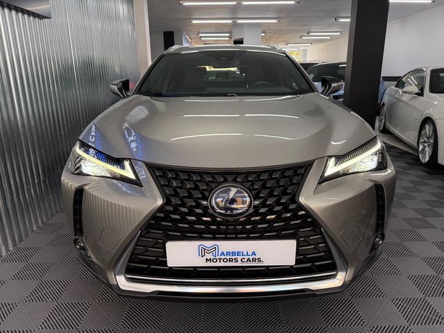 Lexus UX 2020
