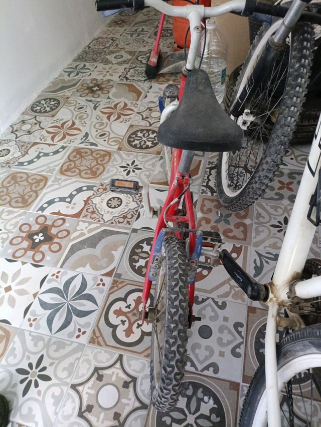 Bicicleta
