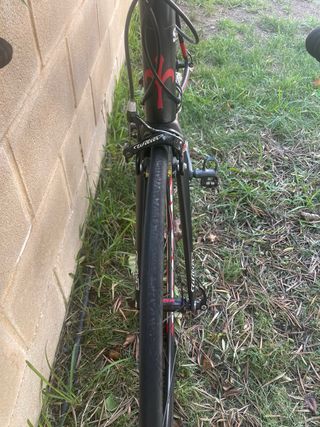 Willier Triestina Izoard XP de carbono