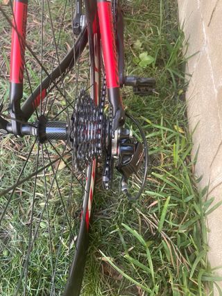 Willier Triestina Izoard XP de carbono