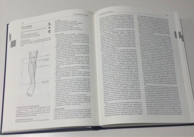 Manuel d'acupuncture HB (1e éd. française, trad...