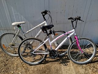 2 Bicicletas paseo montaña
