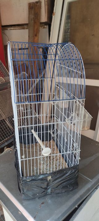 Jaula pajaros metalica