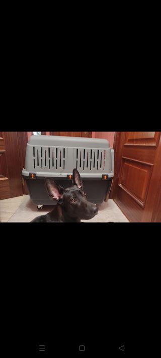 Transportín mascotas BRACCO 5 XL