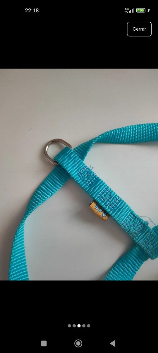 Arnés turquesa cachorro