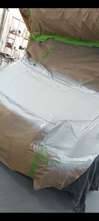 Chapista Pintor en pulianas