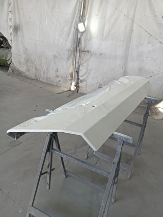 Chapista Pintor en pulianas