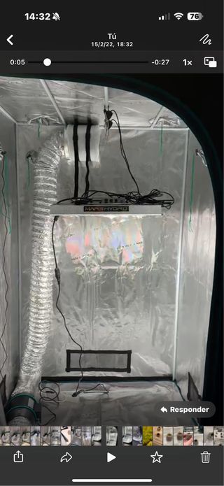 Tenta cultivo interior con 2x luzes