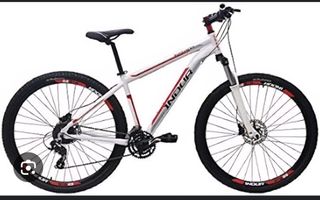 Bicicleta Indur 29" montaña