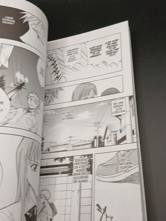 Bleach 7 (Spanish Edition)