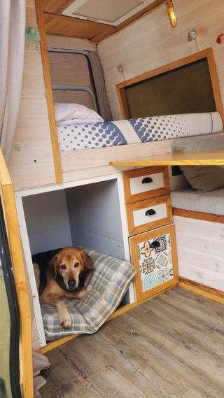 Mercedes-Benz Sprinter 2019