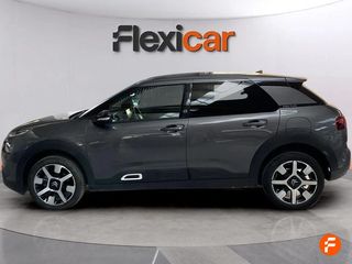 Citroën C4 Cactus PureTech 130 S&S EAT6 Shine Pack