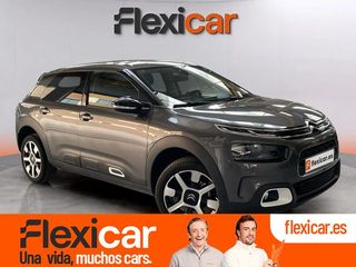Citroën C4 Cactus PureTech 130 S&S EAT6 Shine Pack