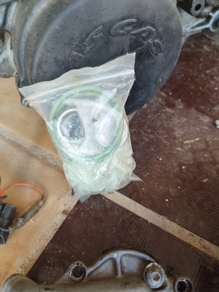 Despiece Gas Gas 250 2T