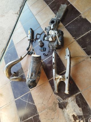 Despiece Gas Gas 250 2T