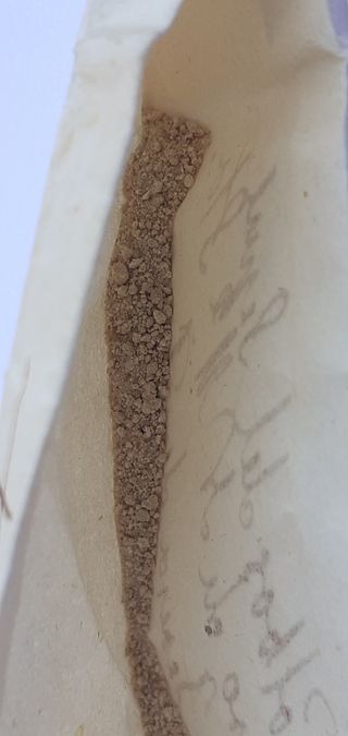 RELIQUIAS DE SANTA TERESA DE JESUS*