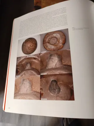 Dinastías, reinos en la Europa prehistórica.