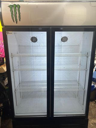 Nevera 2 puertas bebidas