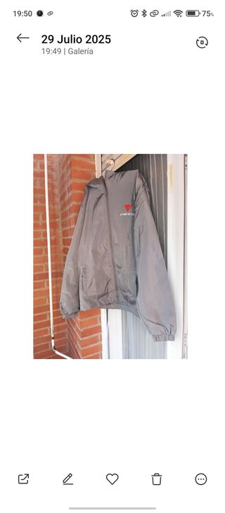 Chaqueta Dainese gris - Talla M