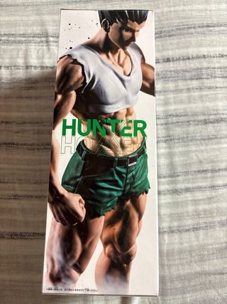 Figura Hunter x Hunter - Gon