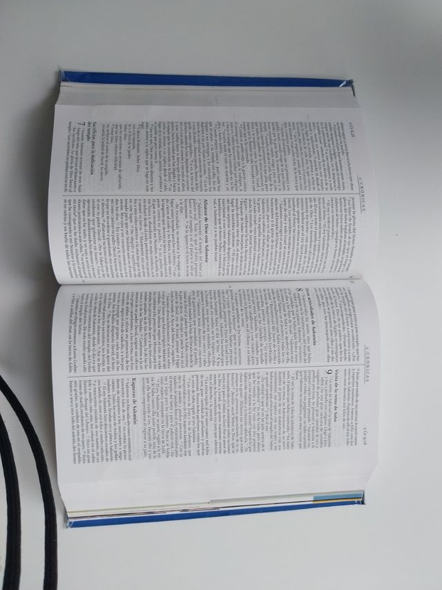 La Biblia didáctica