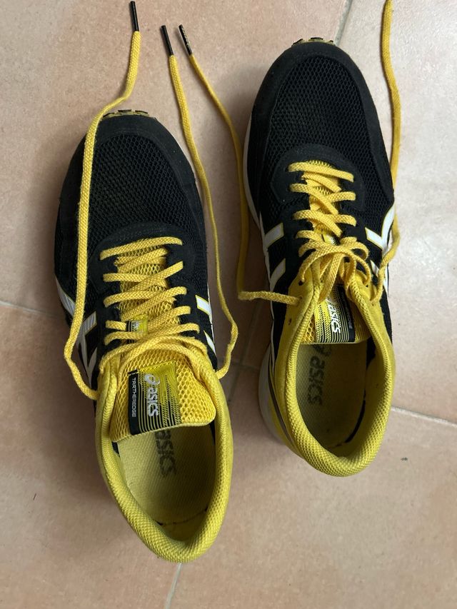 Zapatillas Asics Tartheredge 42.5